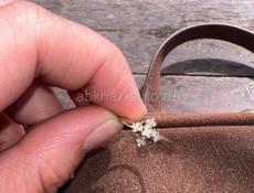 Продаю кольцо