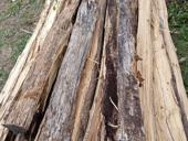 Во время пиление сухие