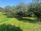 Продажа! Угловой участок в центре 