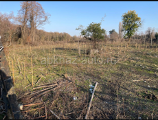 Скурча участок 