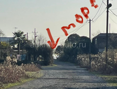 Скурча участок 