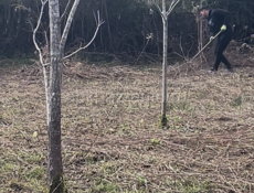 Рабочие , разный класс