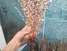 Верба краснотал и серебристая 