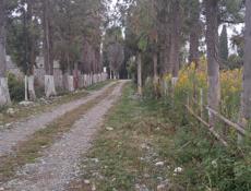 Алахадзы 15 соток 