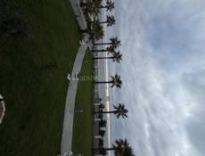 Продаю номера срочно 050 за 10 т