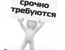 Требуется комендант в общежитие и дворник. Пара 