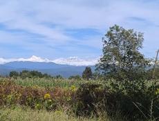 Администратор в глэмпинг 