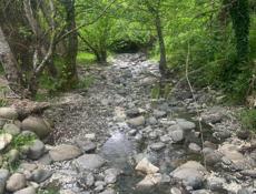 🔥Сухум 50 Соток Чанба🔥