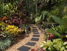 Озеленение и ландшафтный дизайн участка