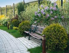 Озеленение и ландшафтный дизайн участка