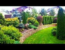 Озеленение и ландшафтный дизайн участка