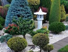 Озеленение и ландшафтный дизайн участка