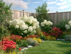 Озеленение и ландшафтный дизайн участка