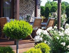 Озеленение и ландшафтный дизайн участка