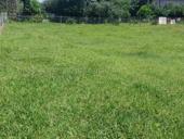 Участок 1га 23 сотки