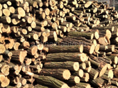 Дрова 