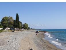 Недвижимость 