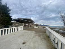 Срочно ! На берегу моря 