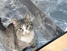 Стерелизованная 