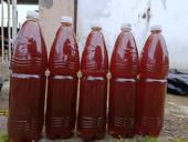 Продаю горный мёд.