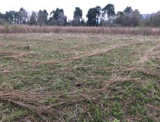 Алахадзы 6 соток 700 сейчас остальное в конце лета 