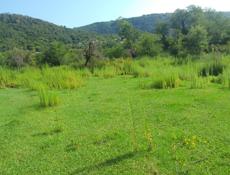 Очень Срочно хороший торг  25 соток довоенная собственность 