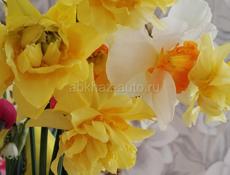 Срочно продам землю. 6соток.200м от моря