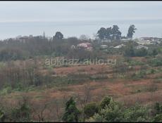 Выкупленная,  срочно.