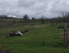 Хипста белая речка 