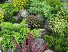 ЛАНДШАФТНЫЙ ДИЗАЙН, ОЗЕЛЕНЕНИЕ. Гарантия