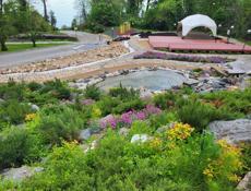 ЛАНДШАФТНЫЙ ДИЗАЙН, ОЗЕЛЕНЕНИЕ. Гарантия