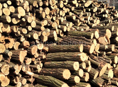 Дрова 