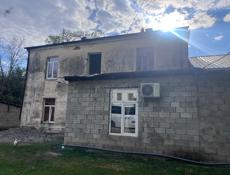 Пицунда Трешка в цитрусовом совхозе