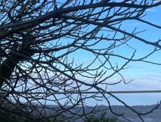 Требуется помощник по хозяйству 