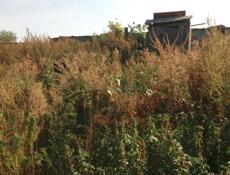 Гулрипши. Ул Курортная 