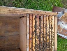 Продаются улья