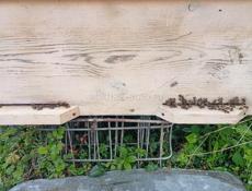 Продаются улья