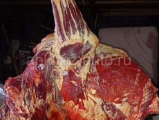 Продаю мясо говядина все вопросы по номеру тель 