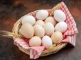 Домашние яйца