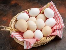 Домашние яйца