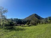 🚨 СРОЧНАЯ ПРОДАЖА участок в Новом Афоне