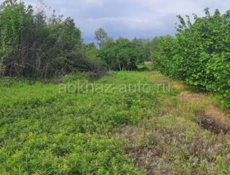 ЗЕМЕЛЬНЫЙ УЧАСТОК С ФУНДАМЕНТОМ И ОРЕХОВЫМ САДОМ