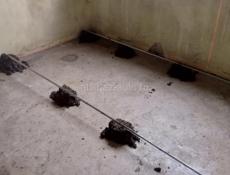 Ремонт квартир под ключ