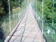 Куплю два бычка до полугода 