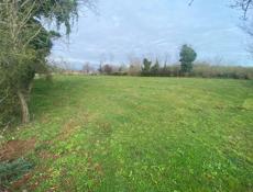 Золотой берег Гудаута