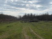 Гудаута золотой берег 