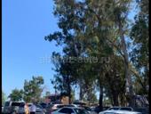 У Горячего Источника 