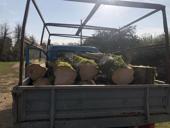 Дрова под заказ🏡 по Абхазии!