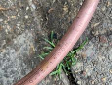 Медные трубки