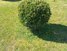 Расстояние